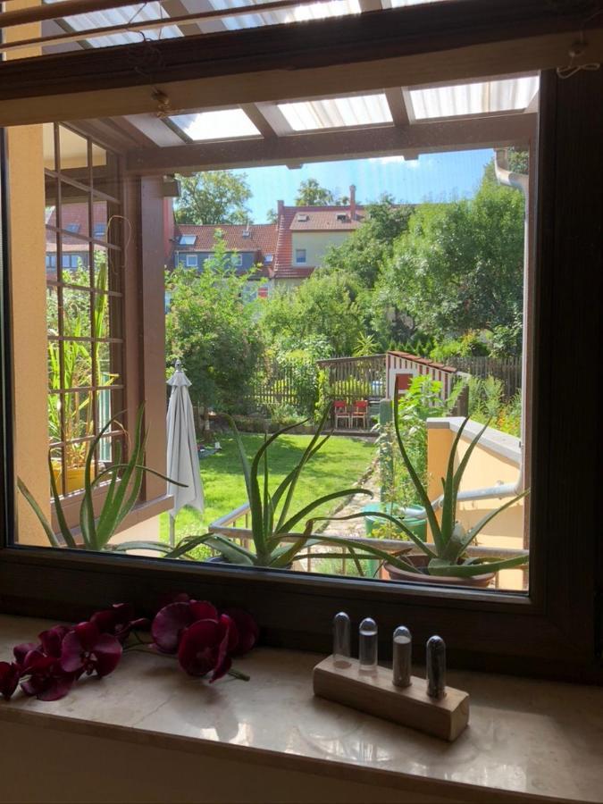 Ferienwohnung An Der Gruenen Clara Erfurt Exteriör bild