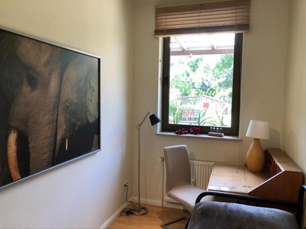 Ferienwohnung An Der Gruenen Clara Erfurt Exteriör bild